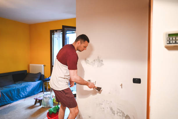 Best Localized Mold Remediation (e.g., coastal areas, humid climates) in Saranap, CA